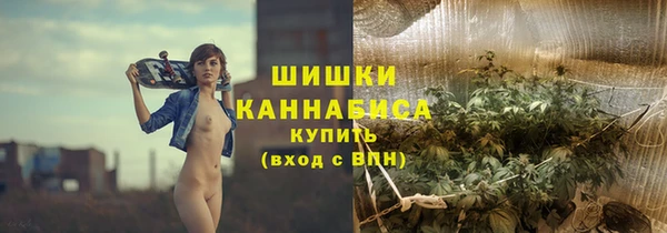 Альфа ПВП Ельня