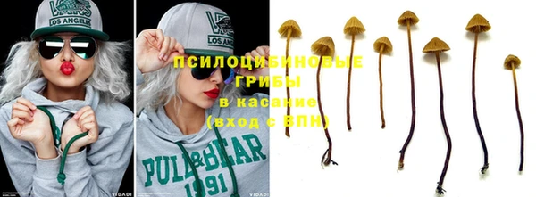 шишки Дмитриев