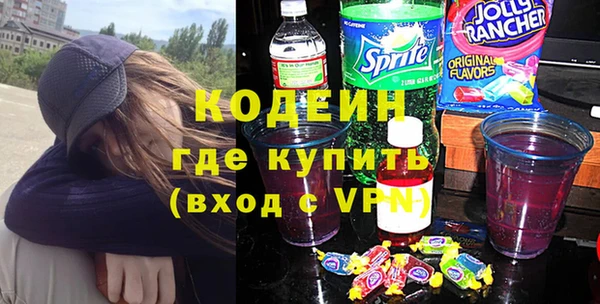шишки Дмитриев