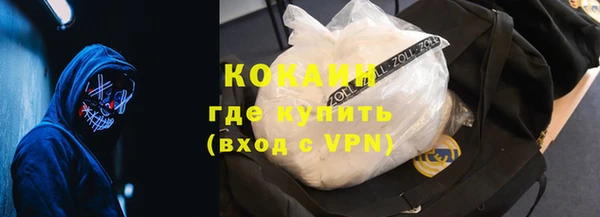 шишки Дмитриев