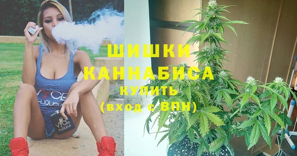 Альфа ПВП Ельня
