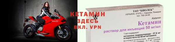 шишки Дмитриев
