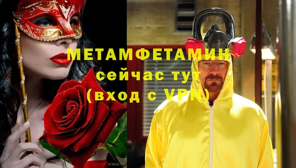 шишки Дмитриев