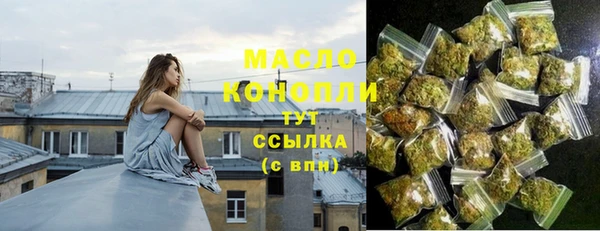шишки Дмитриев