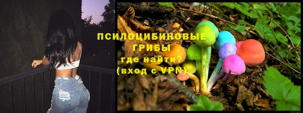 крисы Елизово