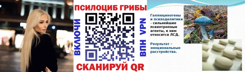 Псилоцибиновые грибы прущие грибы  Купить закладки  Кимры 